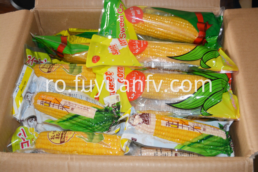 fruit corn (2)